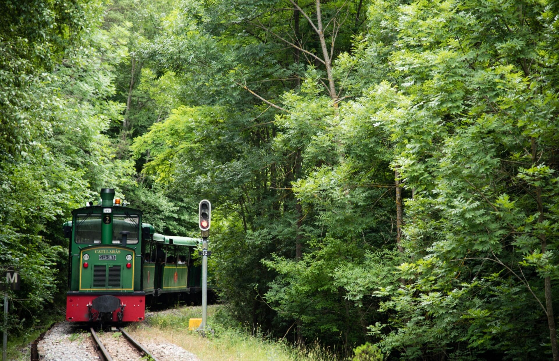 El Tren del Ciment en una zona boscosa / El Tren del Ciment en una zona boscosa