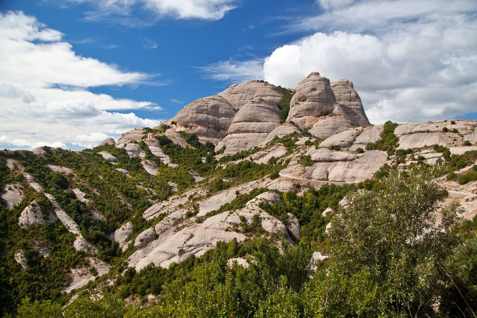 Imatge del Parc Natural de Montserrat /