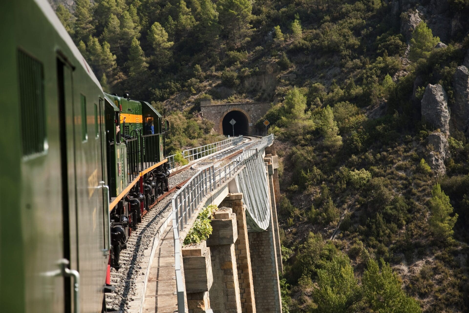 El tren dels Llacs sobre un pont i camí d'un túnel / El tren de los Lagos sobre un puente y camino de un tunel